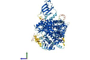 Protein Structure (PS) image for Phosphoinositide-3-Kinase, Catalytic, delta Polypeptide (PIK3CD) (AA 1-1043) protein (His tag) (ABIN7562384)