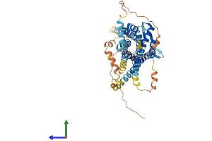 Protein Structure (PS) image for Relaxin 3 Receptor 1 (RXFP3) (AA 1-472) protein (His tag) (ABIN7558549)