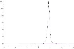 The purity of Human BACE-1 is greater than 95 % as determined by SEC-HPLC. (BACE1 Protein (AA 22-457) (Fc Tag))