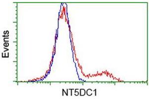 HEK293T cells transfected with either RC211087 overexpress plasmid (Red) or empty vector control plasmid (Blue) were immunostained by anti-NT5DC1 antibody (ABIN2453857), and then analyzed by flow cytometry. (NT5DC1 Antikörper)