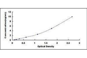 Typical standard curve (HSPD1 ELISA Kit)