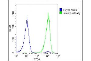 Overlay histogram showing U-2 OS cells stained with (ABIN6242373 and ABIN6578888)(green line). (Glutathione Peroxidase 7 Antikörper  (AA 73-107))