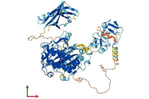 Protein Structure (PS) image for Protein Kinase C, delta (PKCd) (AA 1-674) protein (His tag) (ABIN7563069)