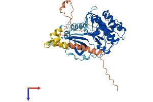 SGK1 Protein (AA 1-431) (His tag)