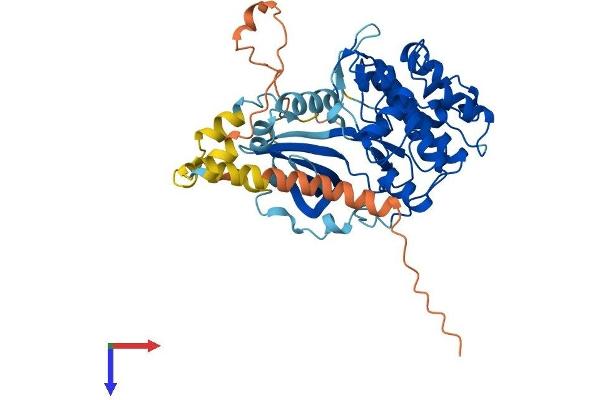 SGK1 Protein (AA 1-431) (His tag)
