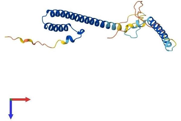RILPL2 Protein (AA 1-197) (His tag)