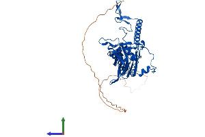 AlphaFold protein structure predicition of Mouse Recombinant Mrps5 Protein, UniprotID Q99N87