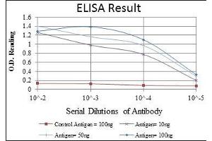 Red: Control Antigen (100 ng), Purple: Antigen (10 ng), Green: Antigen (50 ng), Blue: Antigen (100 ng), (FGG Antikörper)