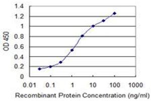 Detection limit for recombinant GST tagged ARFIP2 is 0. (ARFIP2 Antikörper  (AA 1-110))