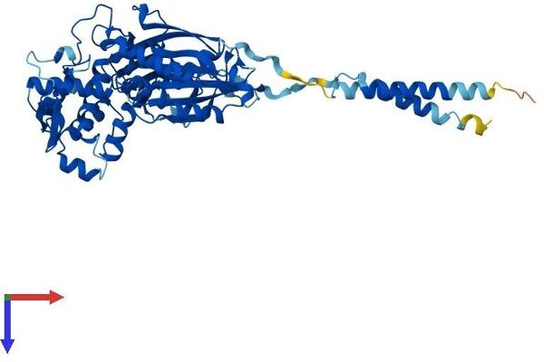 ENTPD2 Protein (AA 1-495) (His tag)