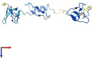 AlphaFold protein structure predicition of Human Recombinant ZFAND2A Protein, UniprotID Q8N6M9