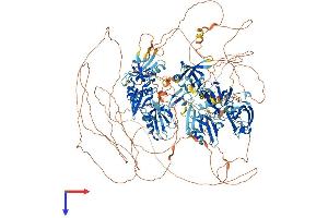MAGI3 Protein (AA 1-1476) (His tag)