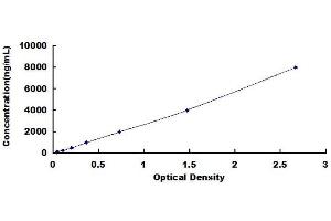 Typical standard curve (CST3 ELISA Kit)