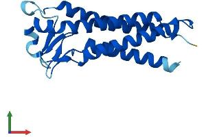 AlphaFold protein structure predicition of Mouse Recombinant Emp2 Protein, UniprotID O88662 (EMP2 Protein (AA 1-172) (His tag))