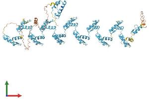 Protein Structure (PS) image for Zinc Finger Protein 780B (ZNF780B) (AA 1-833) protein (His tag) (ABIN7545279)