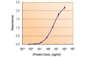 ELISA Image ELISA detection of NODAL using  for capture at a concentration of 5 µg/mL and  for detection at a concentration of 1. (Nodal Antikörper  (Center))