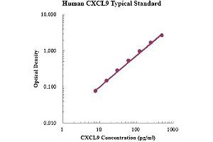ELISA image for gamma-Interferon-Induced Monokine (CXCL9) ELISA Kit (ABIN4993794)