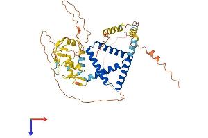 ZNF821 Protein (AA 1-412) (His tag)