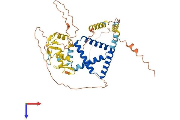 ZNF821 Protein (AA 1-412) (His tag)