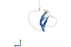 Protein Structure (PS) image for MAX-Like Protein X (MLX) (AA 1-298) protein (His tag) (ABIN7549389)