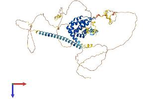 Epsin 2 Protein (EPN2) (AA 1-595) (His tag)