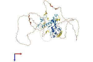 MBD1 Protein (AA 1-636) (His tag)