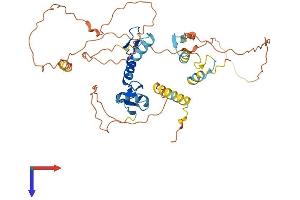 IKZF5 Protein (AA 1-419) (His tag)