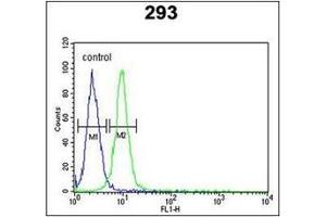 Flow Cytometric analysis of 293 cells (right histogram) using RPL18A Antibody (C-term) Cat. (RPL18A Antikörper  (C-Term))