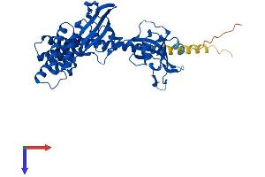 FKBP5 Protein (AA 1-456) (His tag)