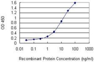 Detection limit for recombinant GST tagged PELP1 is 0. (PELP1 Antikörper  (AA 337-410))