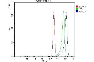 Flow Cytometry analysis of MCF-7 cells using anti-RAB23 antibody (ABIN7600675).