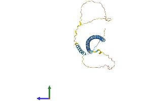 Protein Structure (PS) image for Protein Kinase C, delta Binding Protein (PRKCDBP) (AA 1-260) protein (His tag) (ABIN7559991)