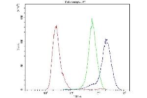 Flow Cytometry analysis of HT-29 cells using anti-CA2 antibody (ABIN4886493). (CA2 Antikörper  (AA 2-260))