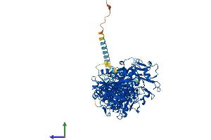 AlphaFold protein structure predicition of Mouse Recombinant Enpp3 Protein, UniprotID Q6DYE8 (ENPP3 Protein (AA 1-874) (His tag))
