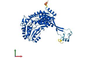 Protein Structure (PS) image for Aldehyde Dehydrogenase 3 Family, Member B3 (Aldh3b3) (AA 1-479) protein (His tag) (ABIN7562162)