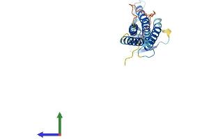 Protein Structure (PS) image for Claudin 6 (CLDN6) (AA 1-220) protein (His tag) (ABIN7546613)