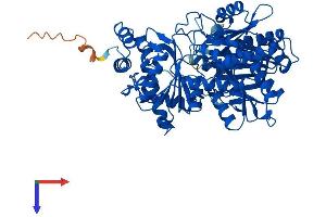 PGM2L1 Protein (AA 1-622) (His tag)