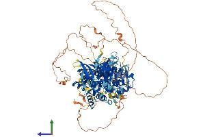 Protein Structure (PS) image for Phosphoinositide-3-Kinase, Regulatory Subunit 5 (PIK3R5) (AA 1-880) protein (His tag) (ABIN7554988)