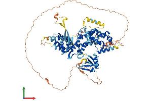 Protein Structure (PS) image for Ral Guanine Nucleotide Dissociation Stimulator-Like 1 (RGL1) (AA 1-768) protein (His tag) (ABIN7551365)