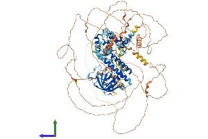 AlphaFold protein structure predicition of Human Recombinant PSD Protein, UniprotID A5PKW4