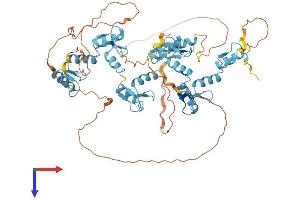 ZNF467 Protein (AA 1-595) (His tag)