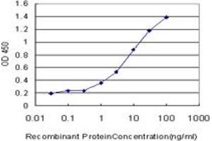 Detection limit for recombinant GST tagged FBL is approximately 0. (Fibrillarin Antikörper  (AA 1-321))