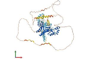 Protein Structure (PS) image for 5'-Nucleotidase, Cytosolic IB (NT5C1B) (AA 1-610) protein (His tag) (ABIN7551815)