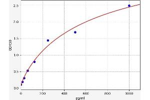 TWEAK ELISA Kit