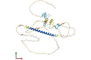 AlphaFold protein structure predicition of Human Recombinant ZC3H10 Protein, UniprotID Q96K80