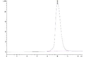 Size-exclusion chromatography-High Pressure Liquid Chromatography (SEC-HPLC) image for Leukocyte Immunoglobulin-Like Receptor, Subfamily B (With TM and ITIM Domains), Member 1 (LILRB1) (AA 116-461) protein (His tag) (ABIN7275166)