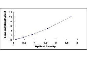 ELISA image for Phosphoinositide-3-Kinase, Class 2, alpha Polypeptide (PIK3C2A) ELISA Kit (ABIN424062)