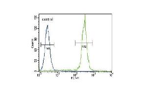 Flow Cytometry (FACS) image for anti-Betacellulin (BTC) (AA 17-45), (N-Term) antibody (ABIN655615)