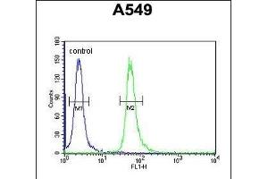 GNAT3 Antibody (Center) (ABIN654441 and ABIN2844175) flow cytometric analysis of A549 cells (right histogram) compared to a negative control cell (left histogram). (GNAT3 Antikörper  (AA 78-105))