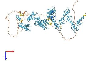 Zinc Finger Protein 44 Protein (ZNF44) (AA 1-663) (His tag)